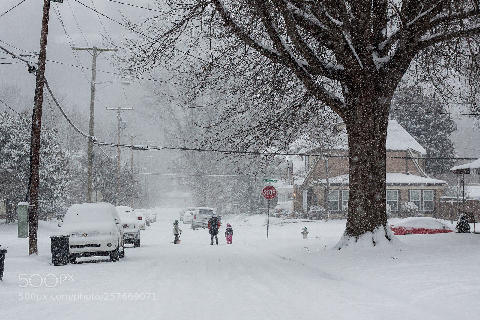 Canon EOS 50D sample photo. Snow day photography