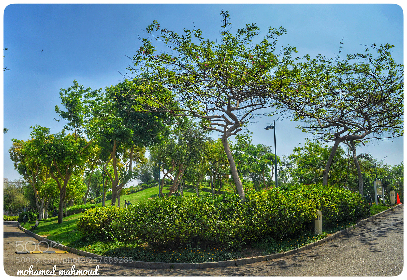 Nikon D3200 sample photo. Untitled photography