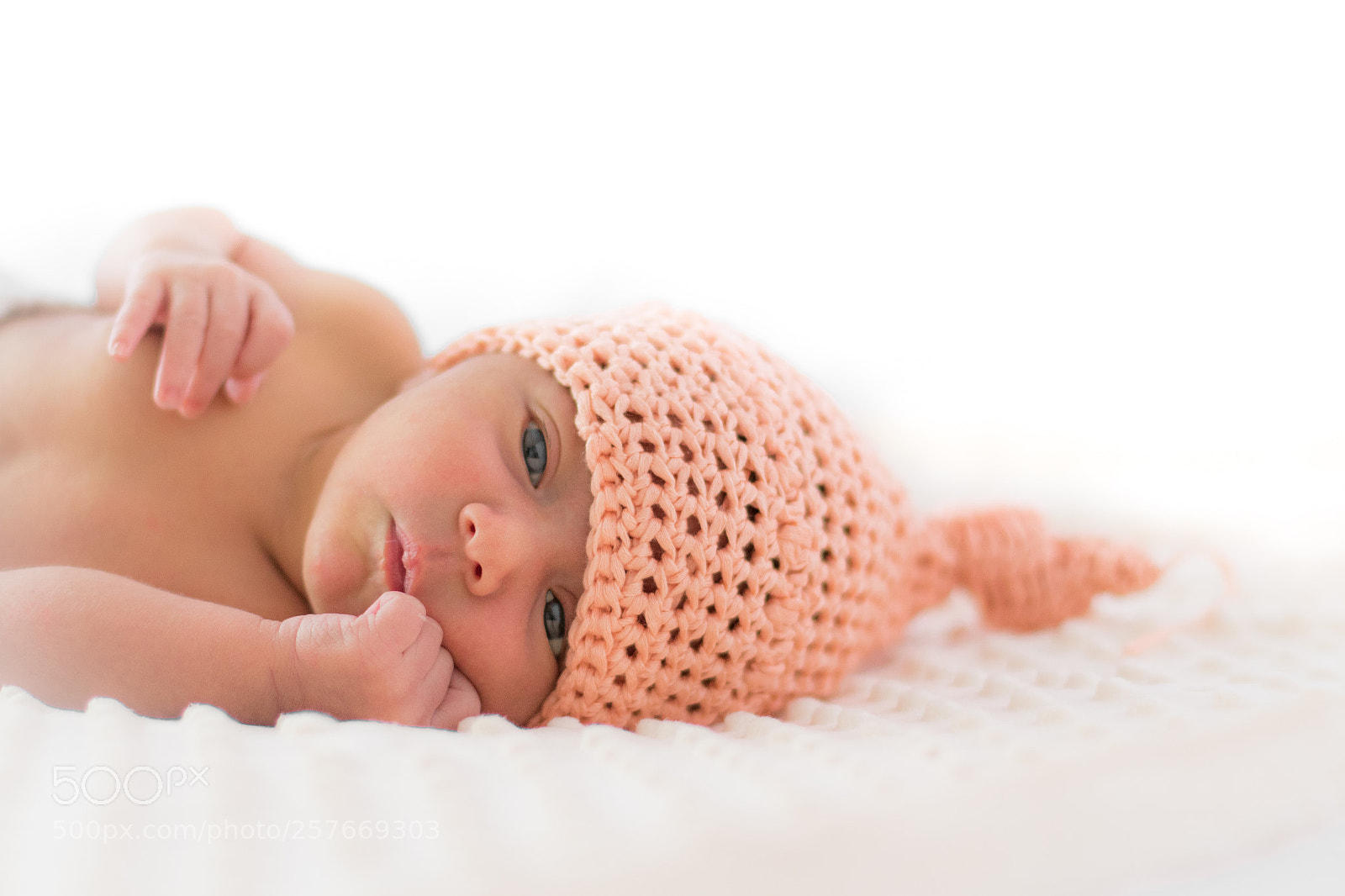 Canon EOS 7D Mark II sample photo. Sweet photography