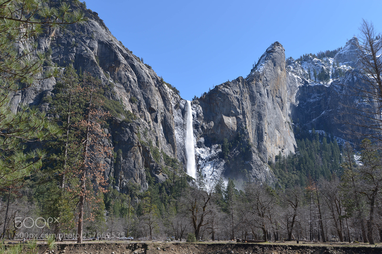 Nikon D600 sample photo. Yosemite photography