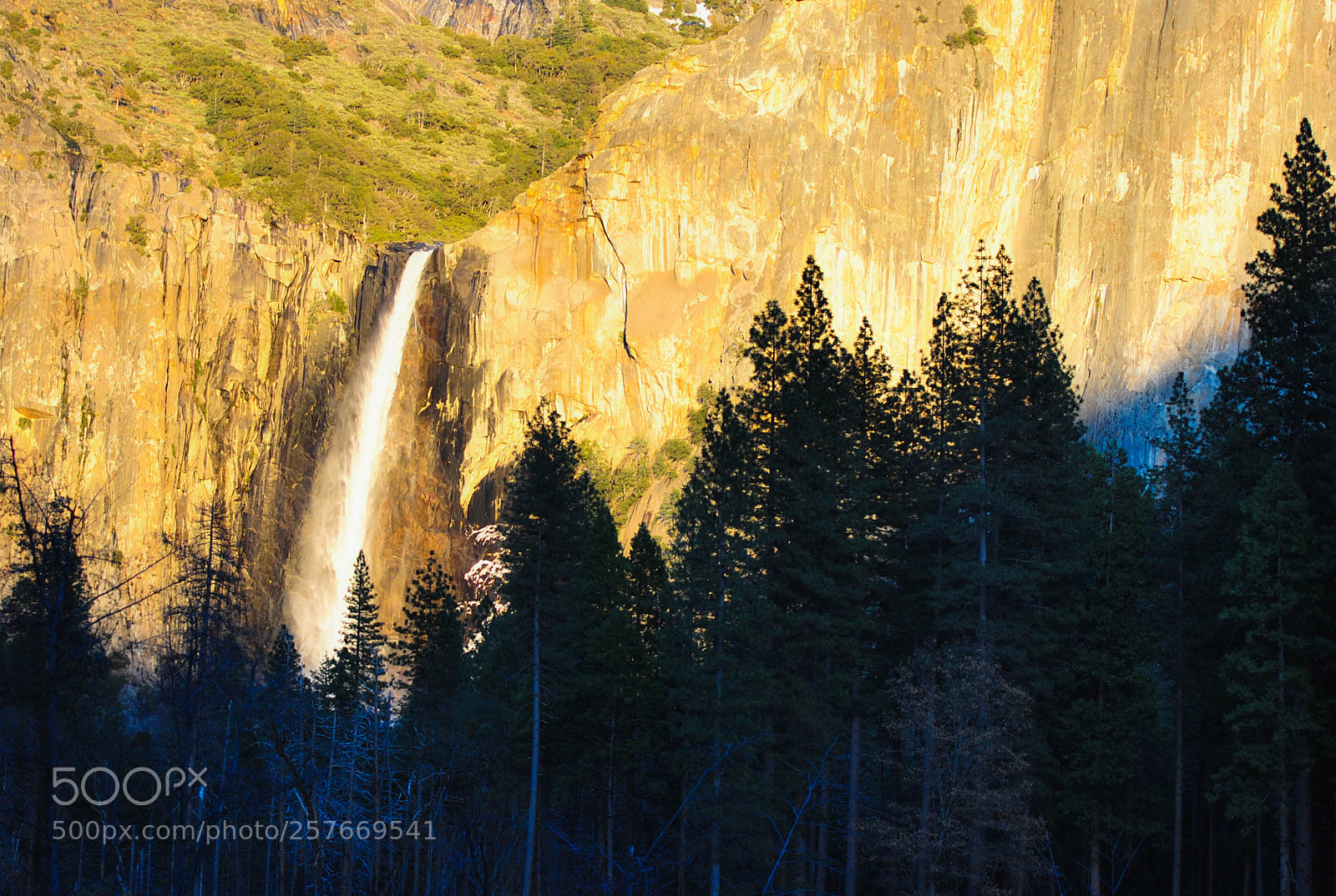 Nikon D3000 sample photo. Yosemite photography