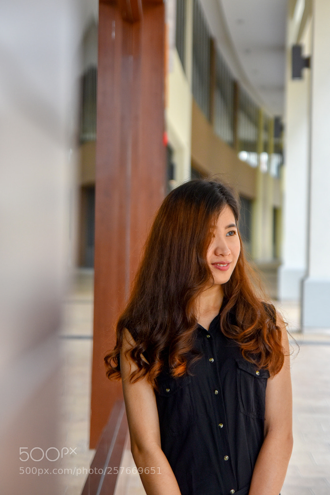 Nikon D5600 sample photo. () photography