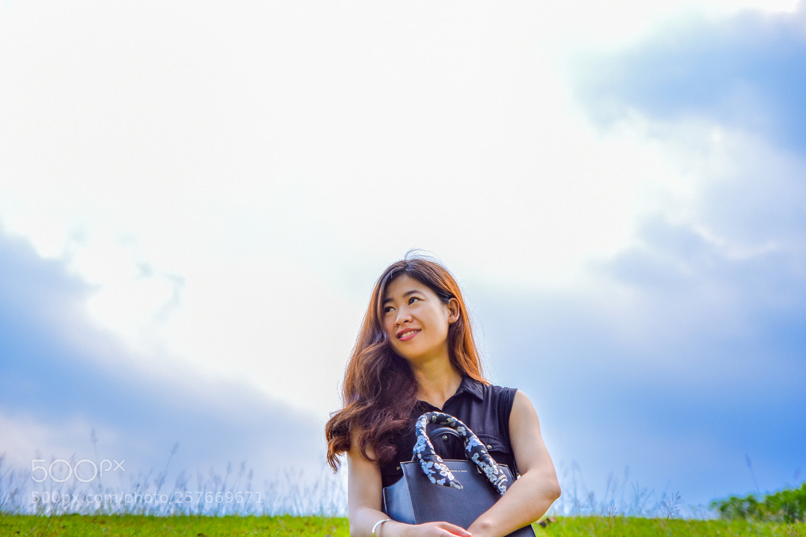 Nikon D5600 sample photo. () photography
