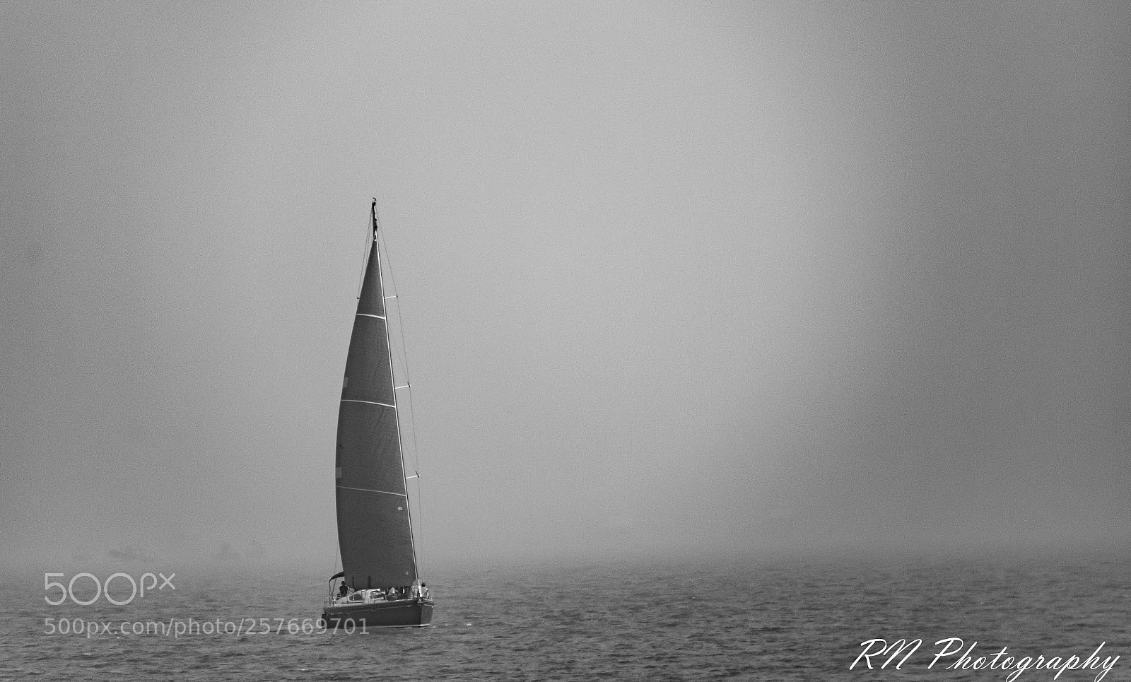 Nikon D5300 sample photo. Untitled photography