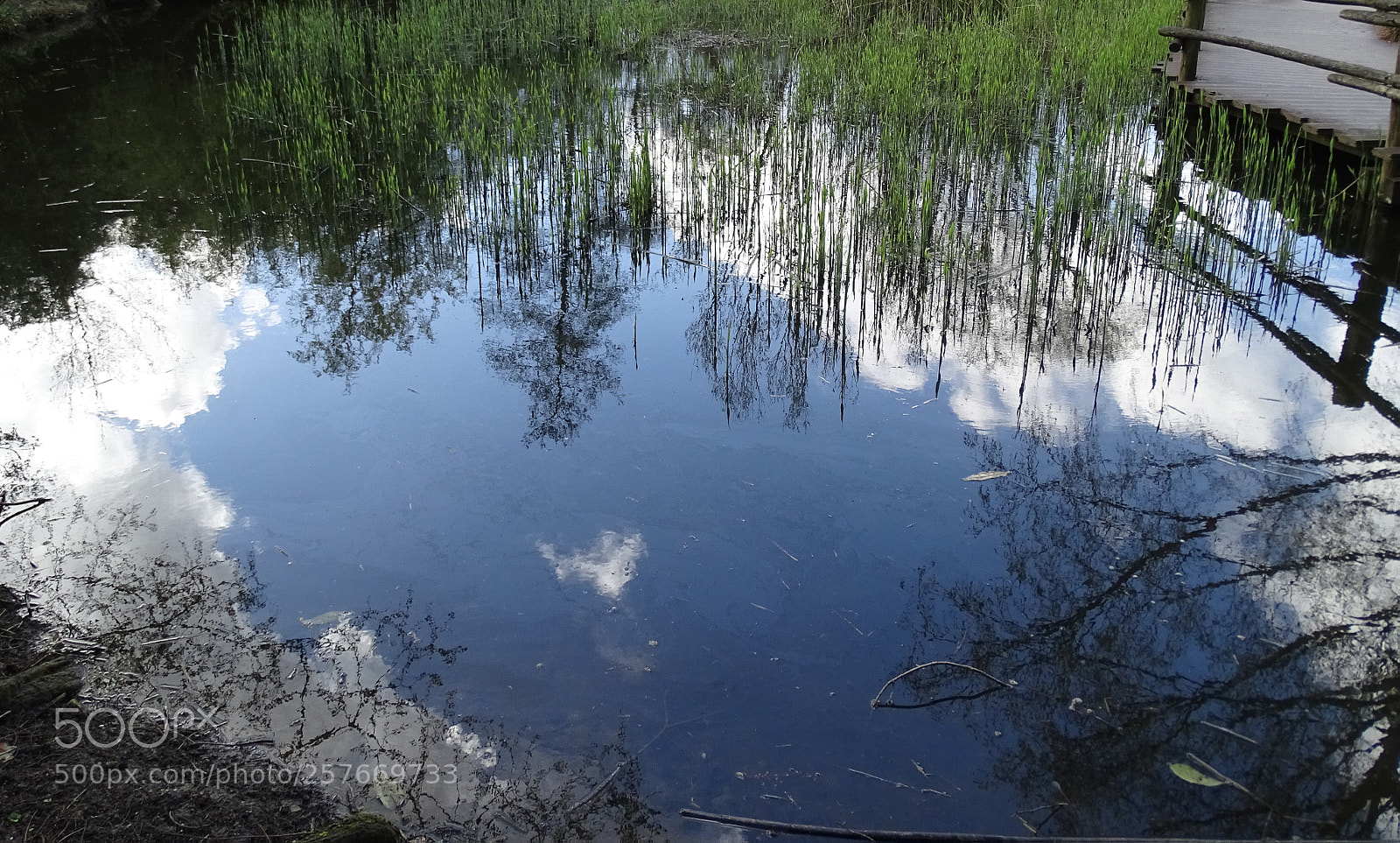 Sony Cyber-shot DSC-HX400V sample photo. Reflection photography