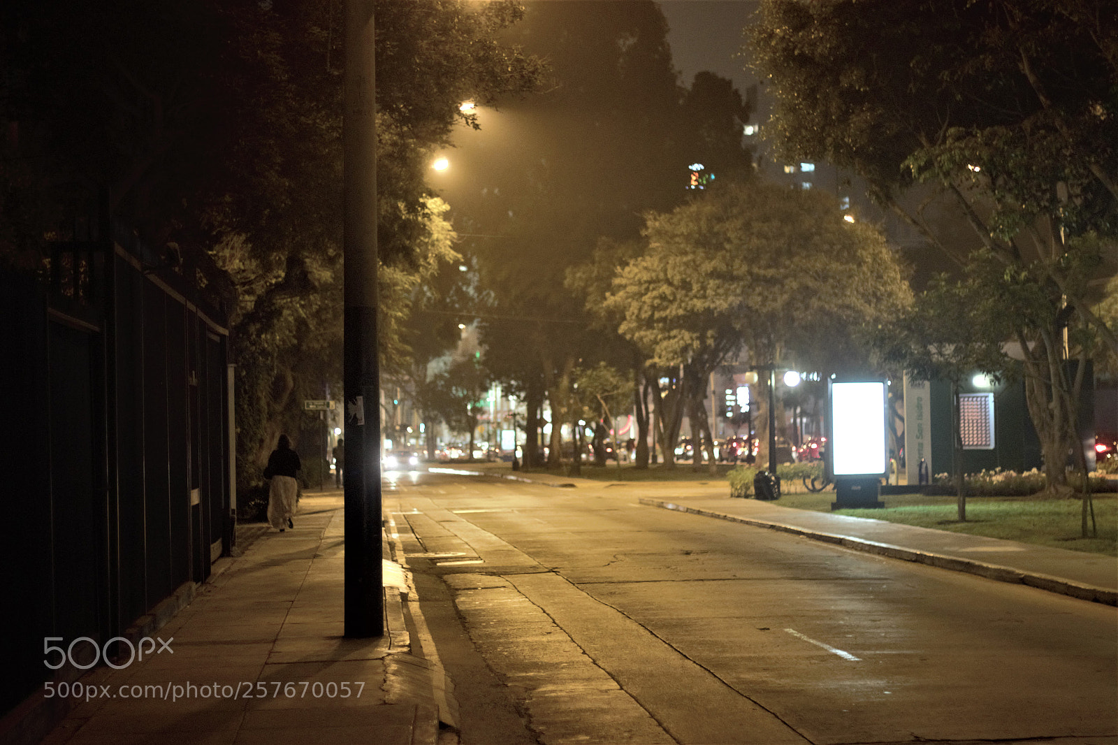 Canon EOS 600D (Rebel EOS T3i / EOS Kiss X5) sample photo. Street of perú photography