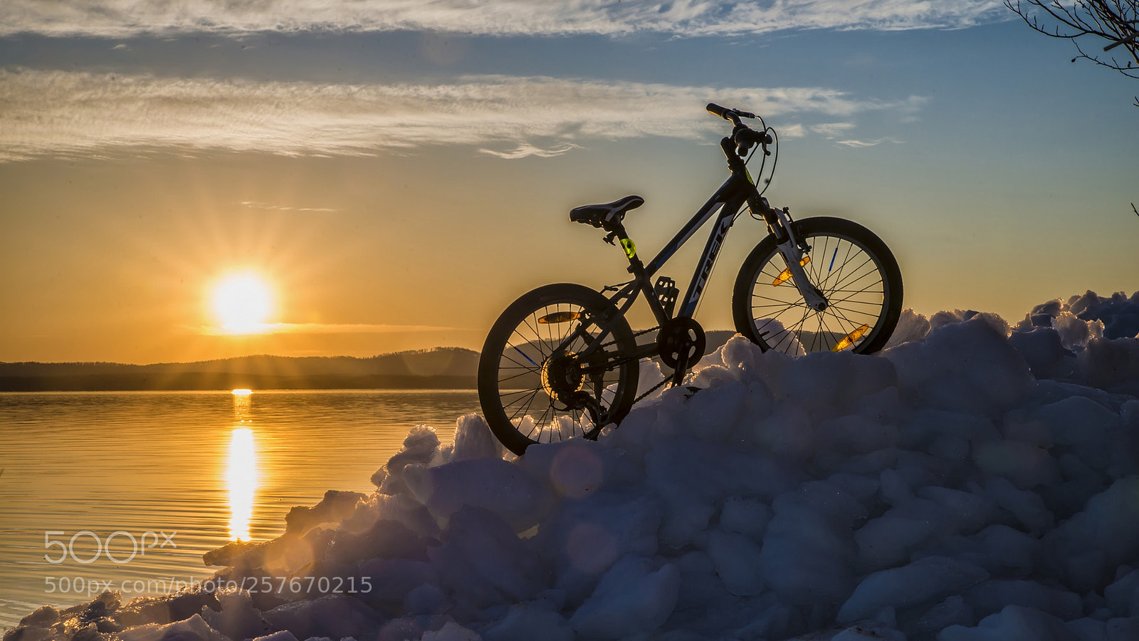 Nikon D800 sample photo. Sun and ice photography