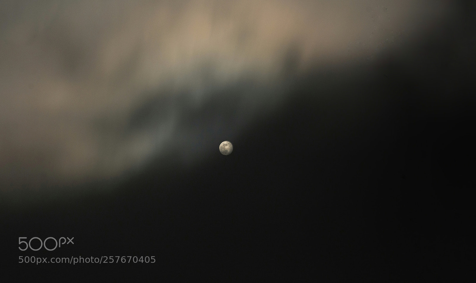 Nikon D7100 sample photo. Untitled photography