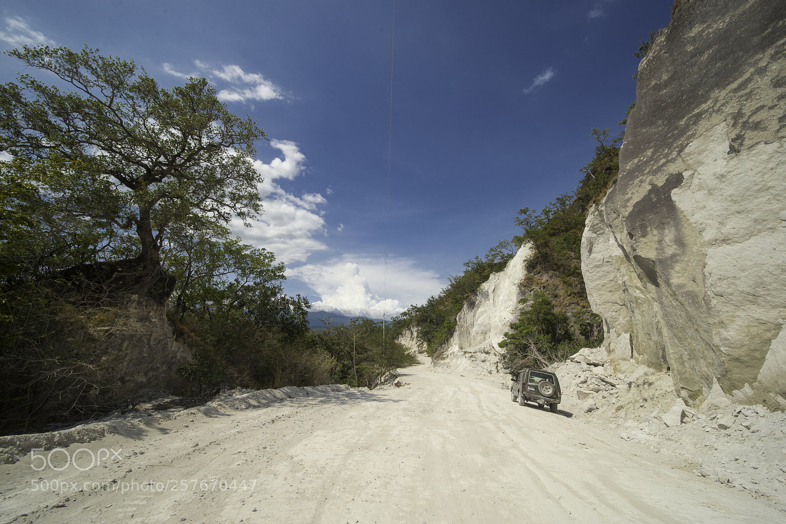 Nikon D800E sample photo. Al can on de photography