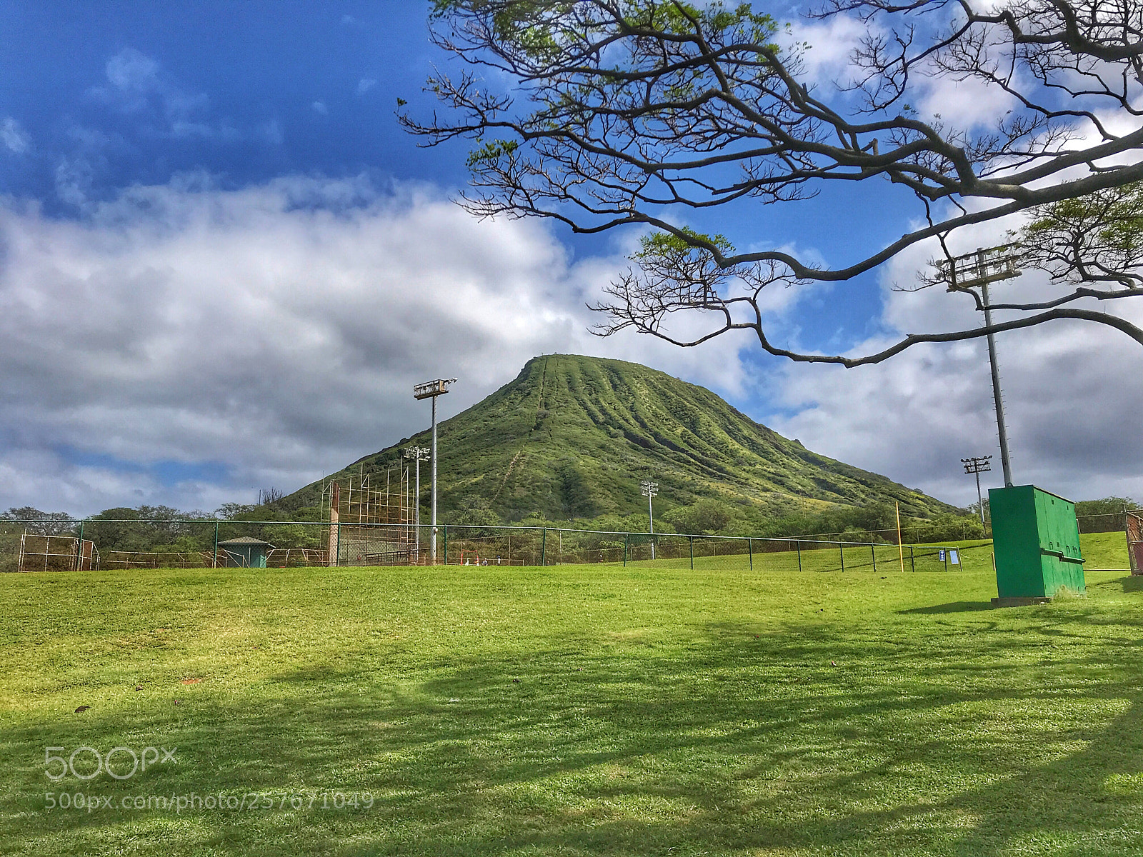 Apple iPhone 7 Plus sample photo. View of koko head photography