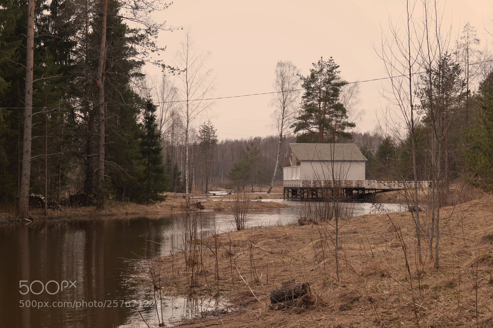 Nikon D3200 sample photo. Spring in the depths photography