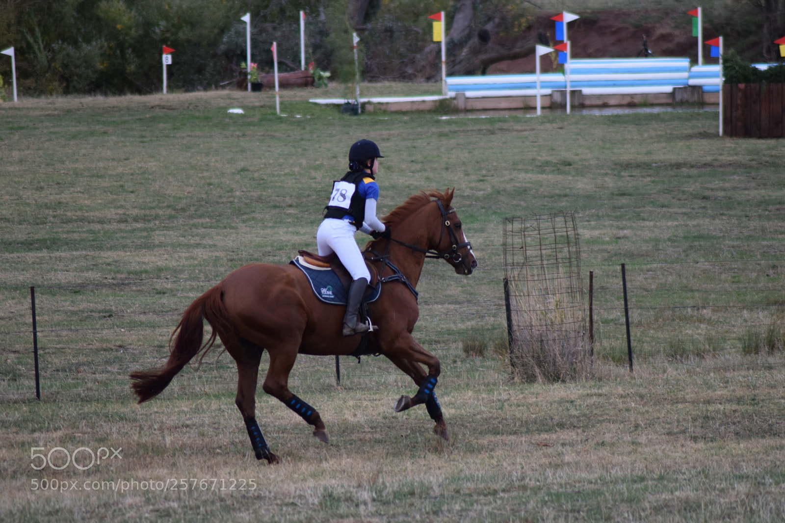 Nikon D3300 sample photo. Untitled photography
