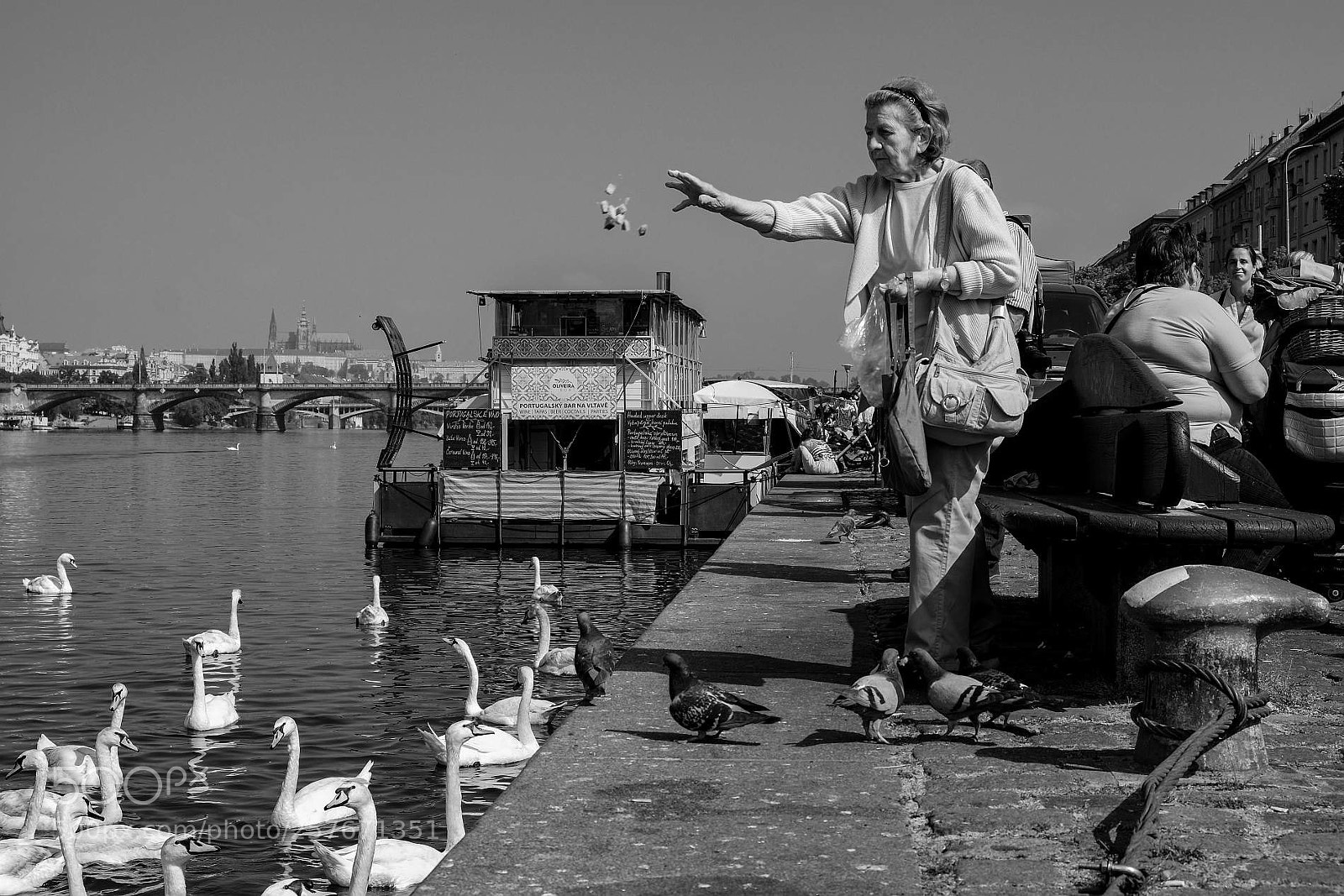 Fujifilm X-E2 sample photo. Feeding swans photography