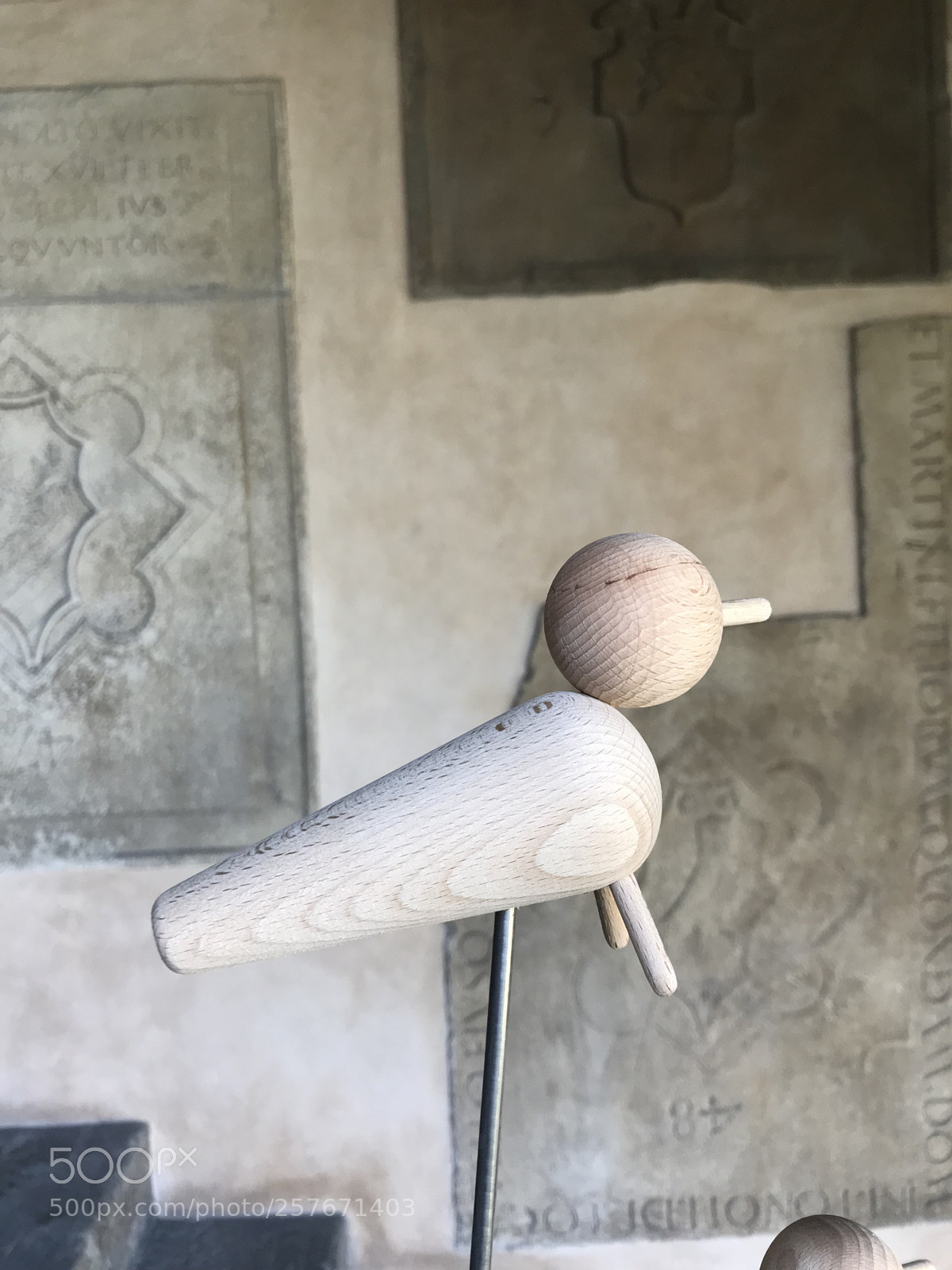 Apple iPhone 7 sample photo. Bird photography