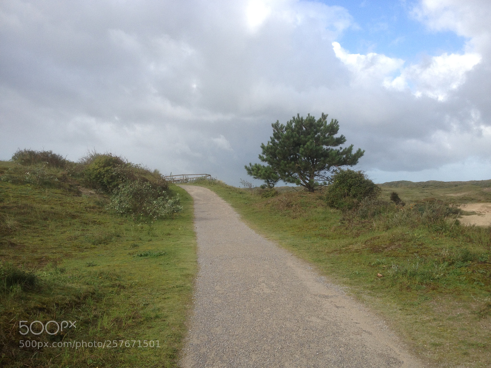Apple iPhone 4S sample photo. Ganzenhoek photography