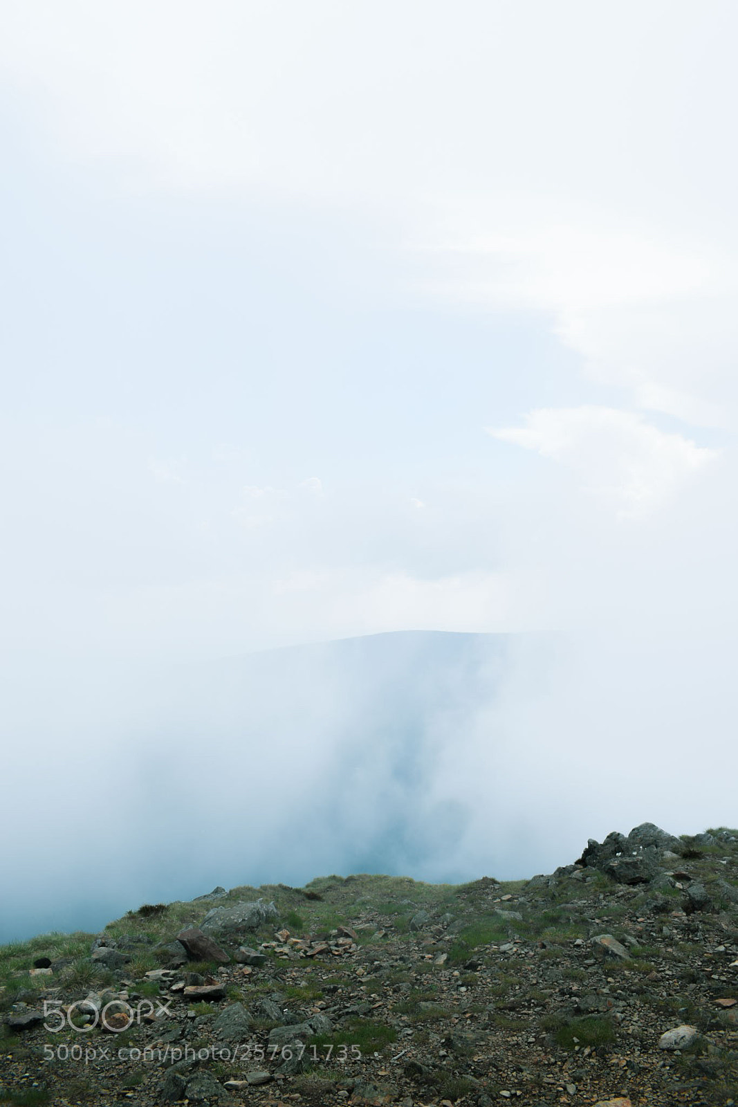 Nikon D3300 sample photo. In the fog photography