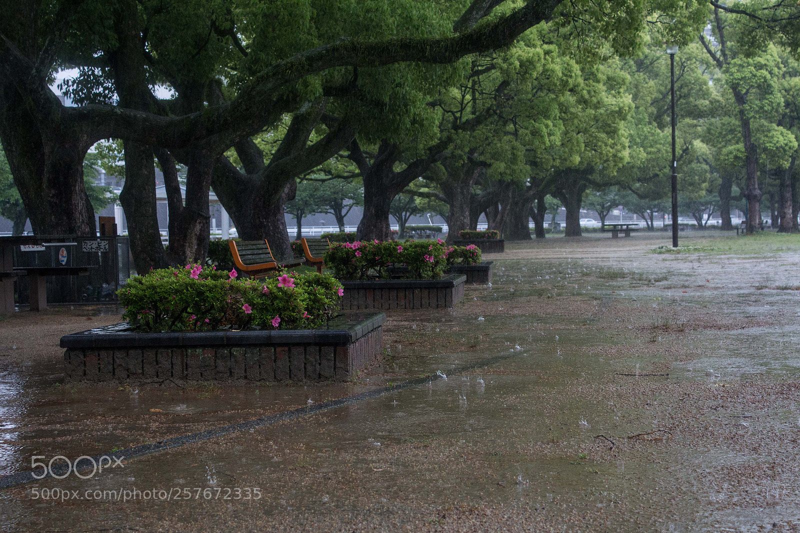 Canon EOS 650D (EOS Rebel T4i / EOS Kiss X6i) sample photo. Raindrops photography