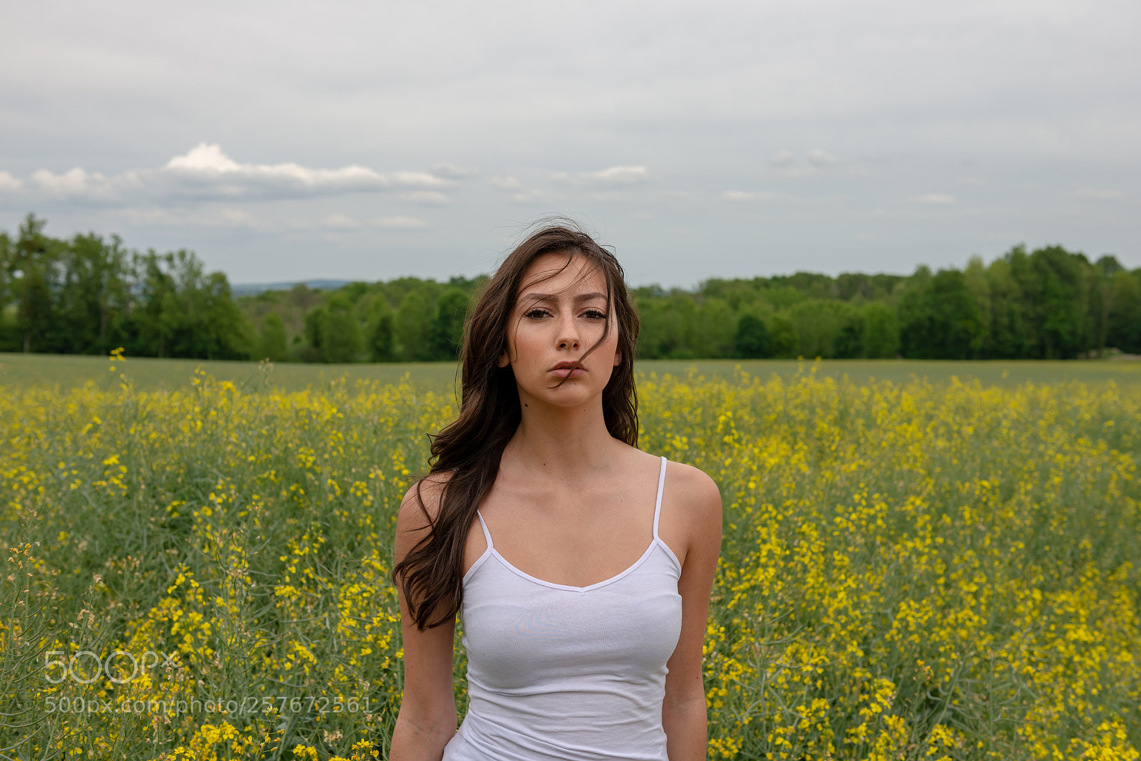 Nikon D600 sample photo. Untitled photography