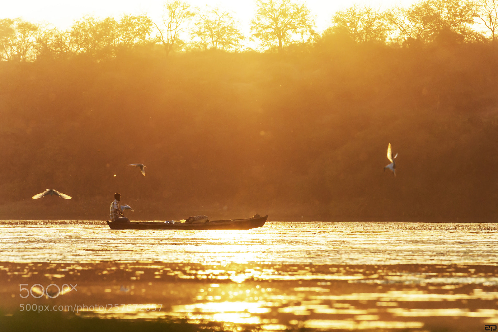 Nikon D810 sample photo. The fisherman of mahi photography