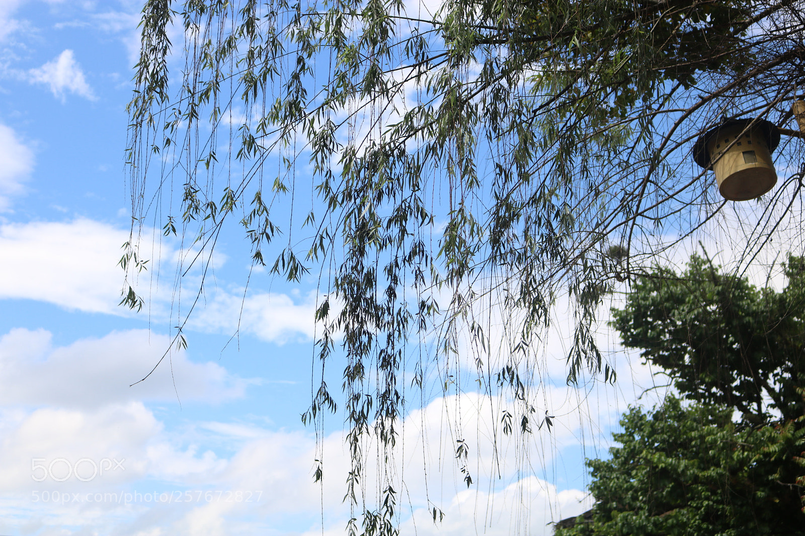Canon EOS 750D (EOS Rebel T6i / EOS Kiss X8i) sample photo. Untitled photography
