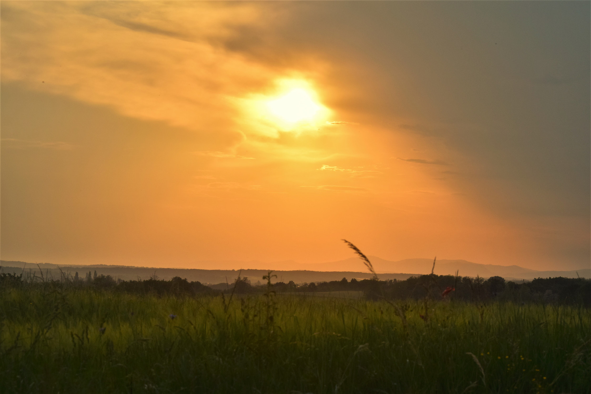 Nikon D3300 sample photo. Sunset photography