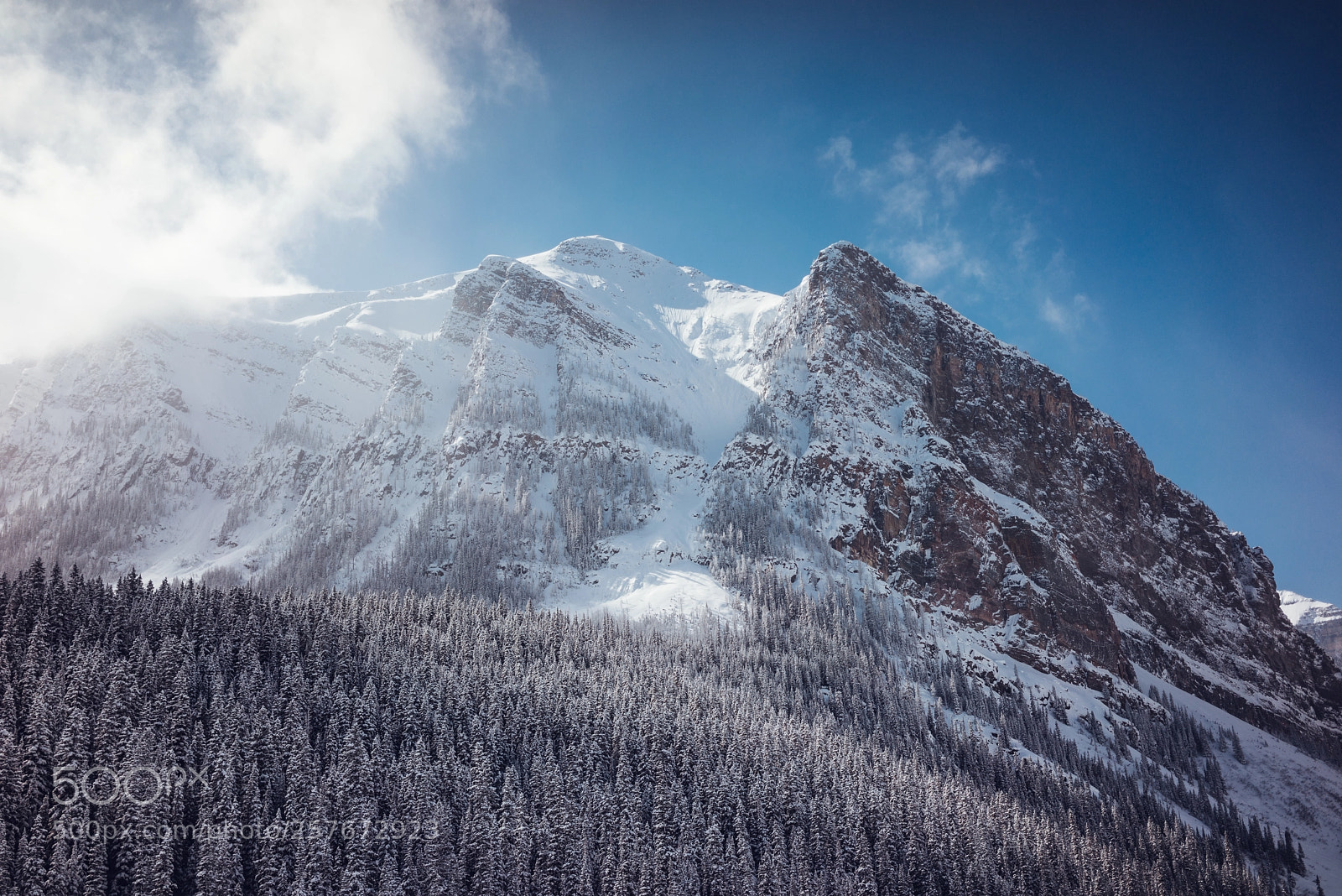 Sony a7R sample photo. Dsc photography