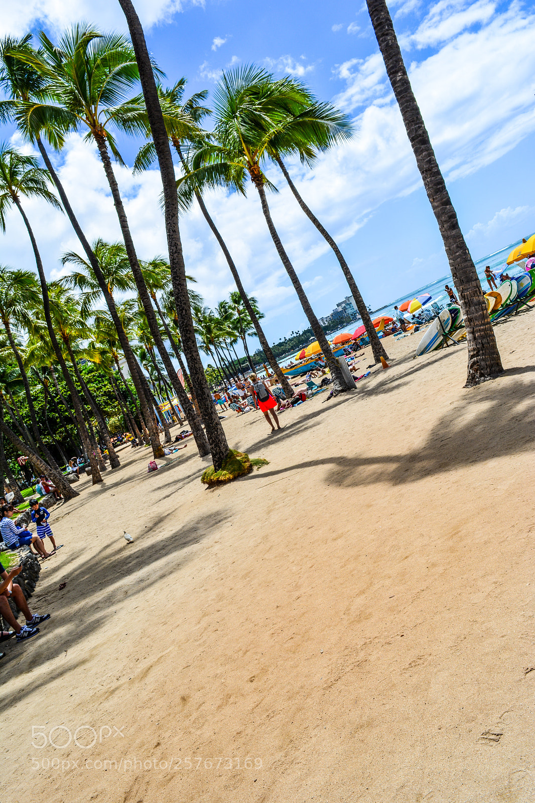Nikon D5200 sample photo. Hawaii oahu waikiki beach photography