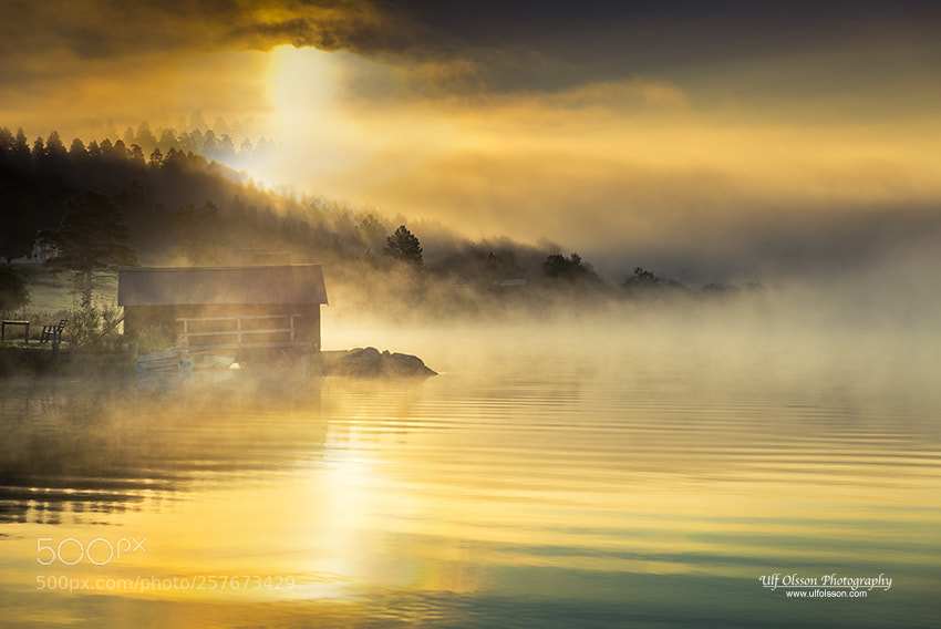 Nikon D610 sample photo. Amazing morning light photography