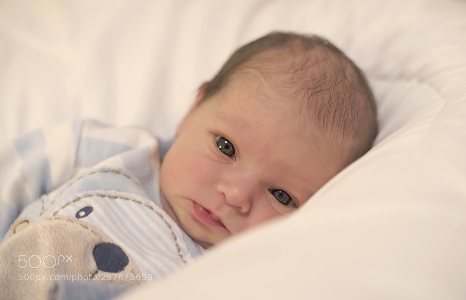 Nikon D750 sample photo. Dsc photography