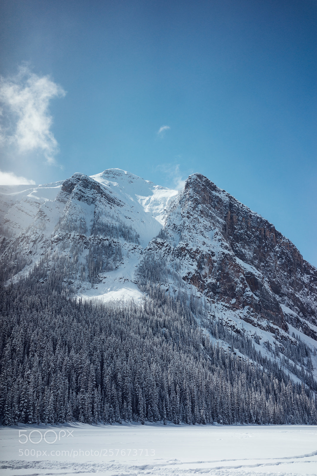 Sony a7R sample photo. Dsc01503-2.jpg photography