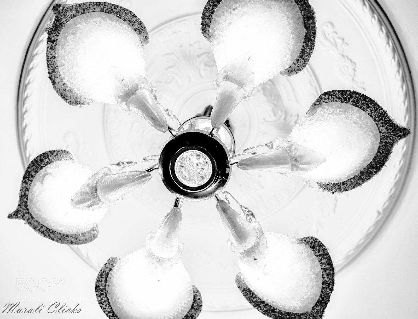 Nikon D7200 sample photo. Untitled photography