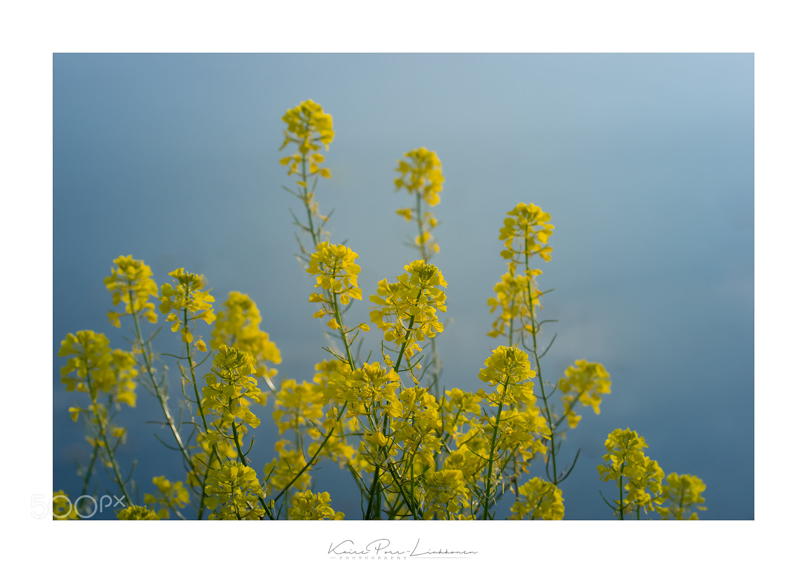 Sony SLT-A77 sample photo. . photography