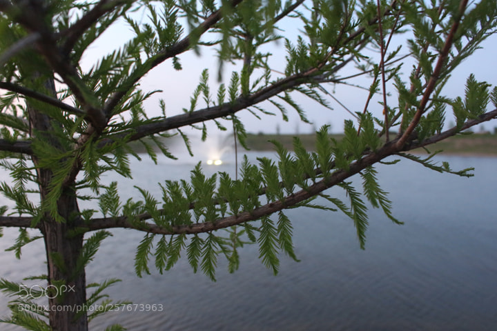 Canon EOS 700D (EOS Rebel T5i / EOS Kiss X7i) sample photo. Photo class fountain shots photography