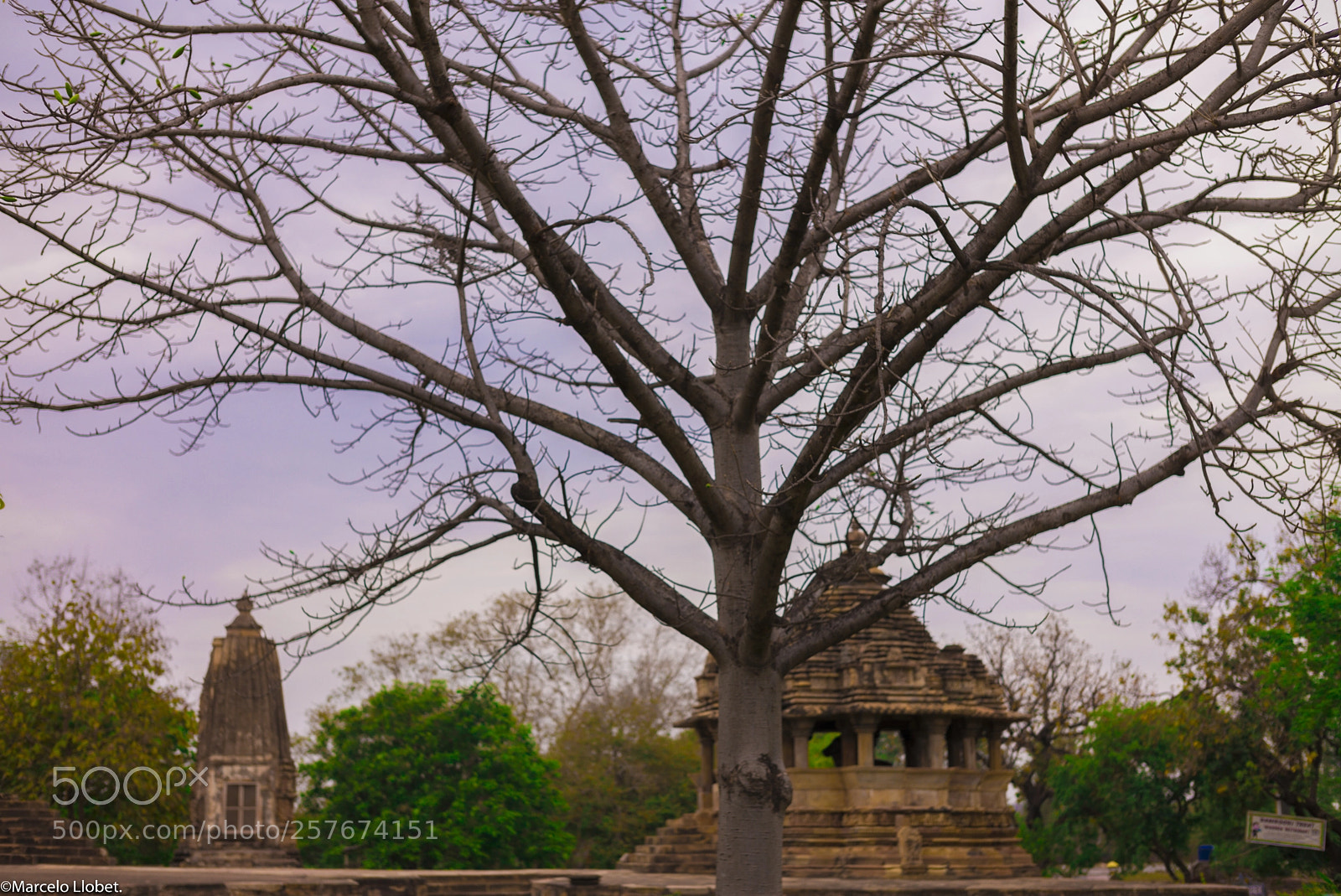 Leica M (Typ 240) sample photo. Ancient khajuraho l1009632 photography