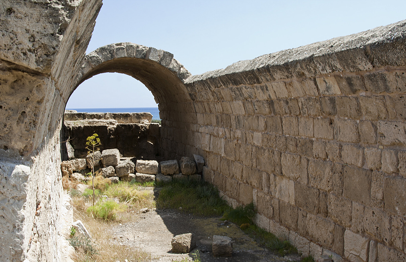 Canon EOS 350D (EOS Digital Rebel XT / EOS Kiss Digital N) sample photo. Basilica at salamis o photography