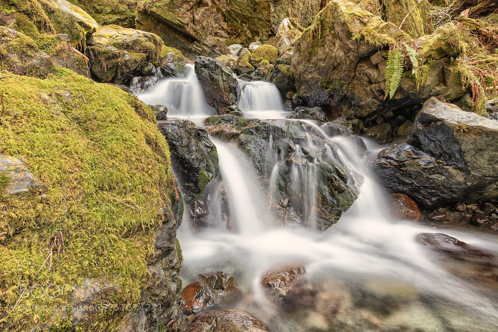 Nikon D850 sample photo. Water falls photography