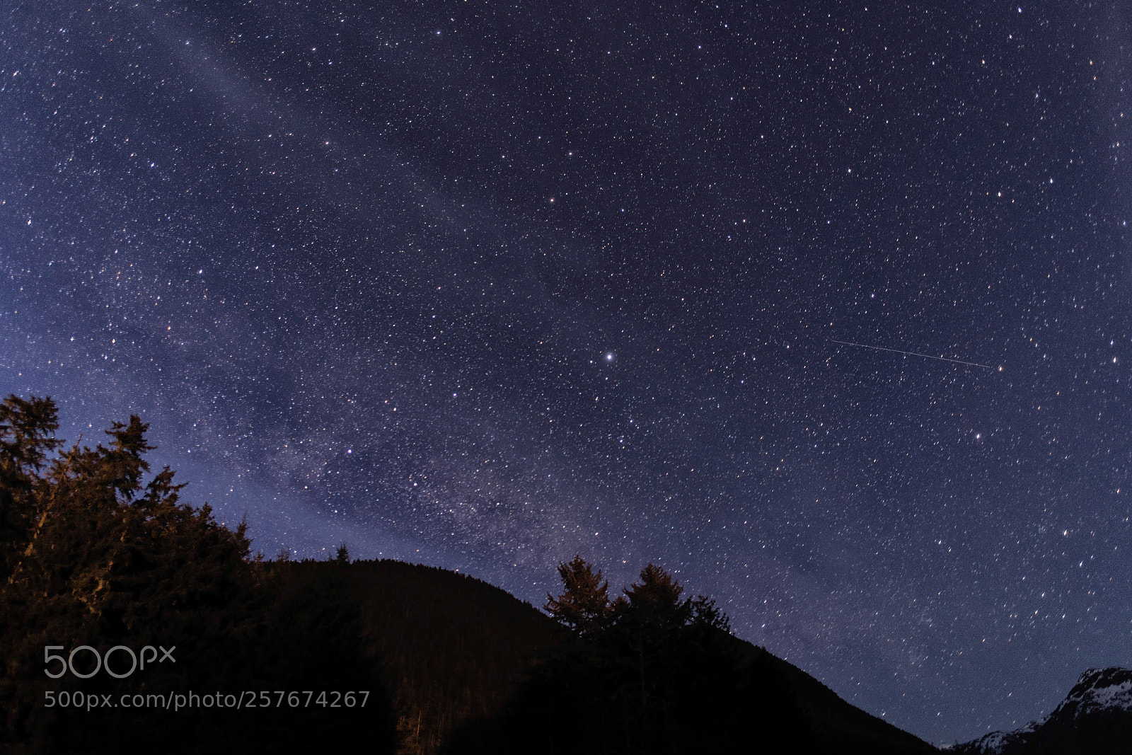 Nikon D850 sample photo. Starry night photography