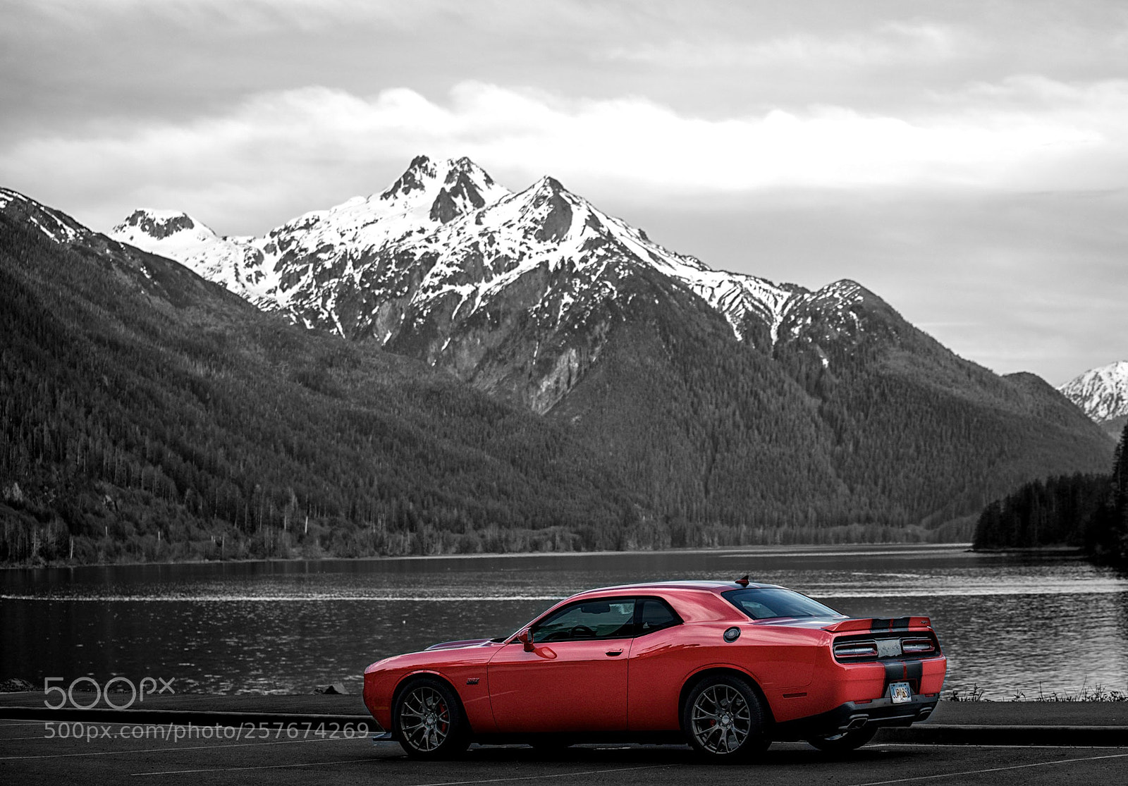 Nikon D850 sample photo. My challenger photography