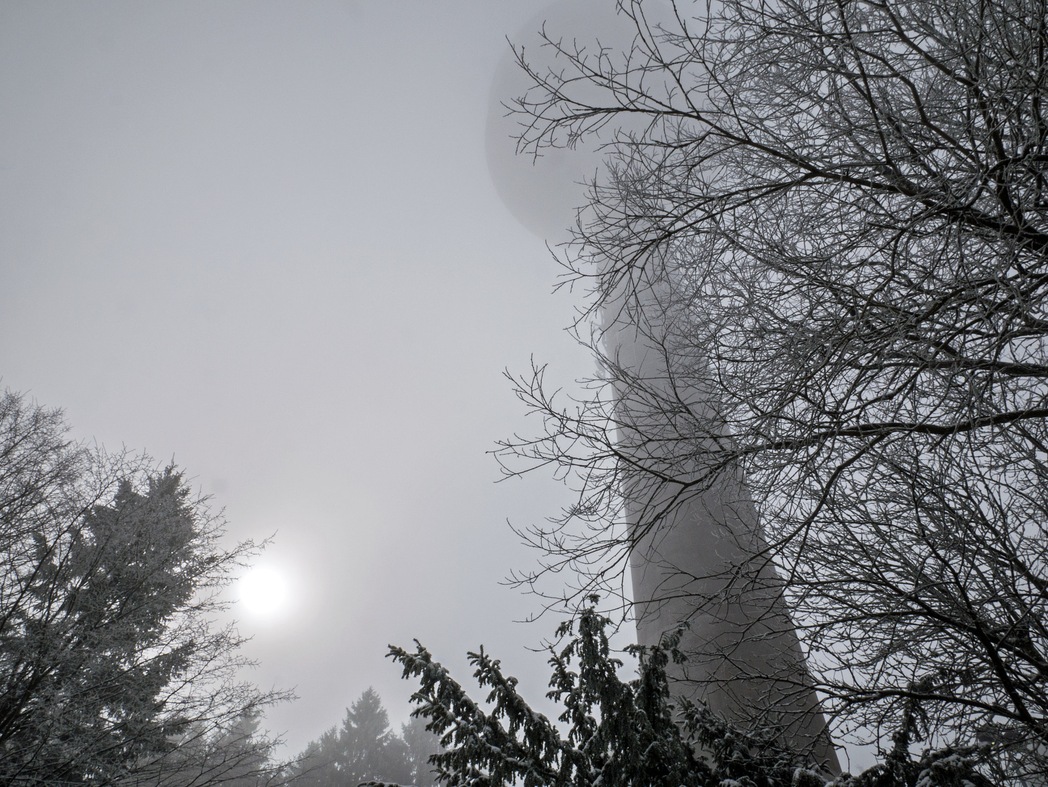 Panasonic DMC-G81 sample photo. Tower in the fog photography