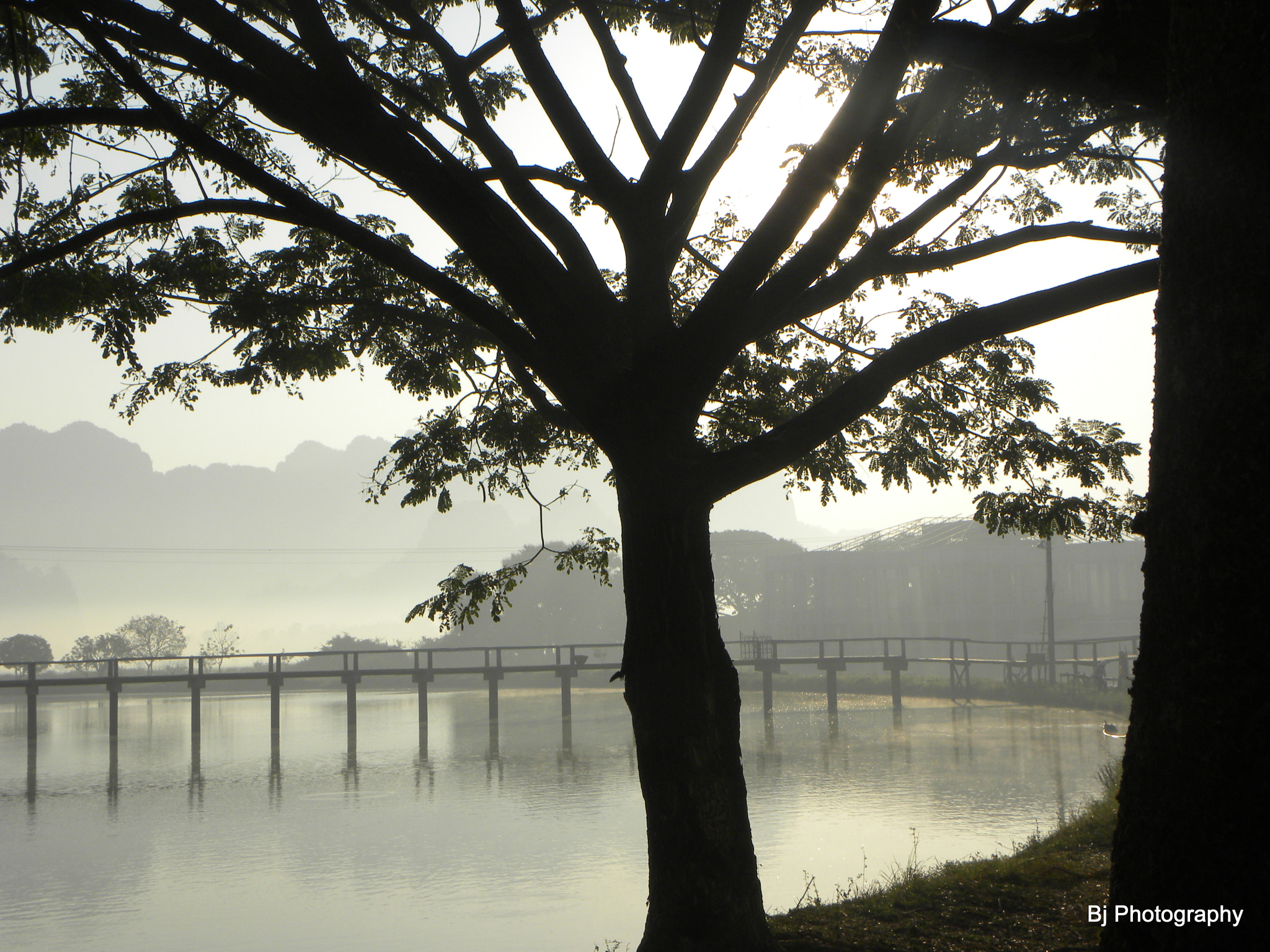 Nikon Coolpix P90 sample photo. Lake behind the tree photography