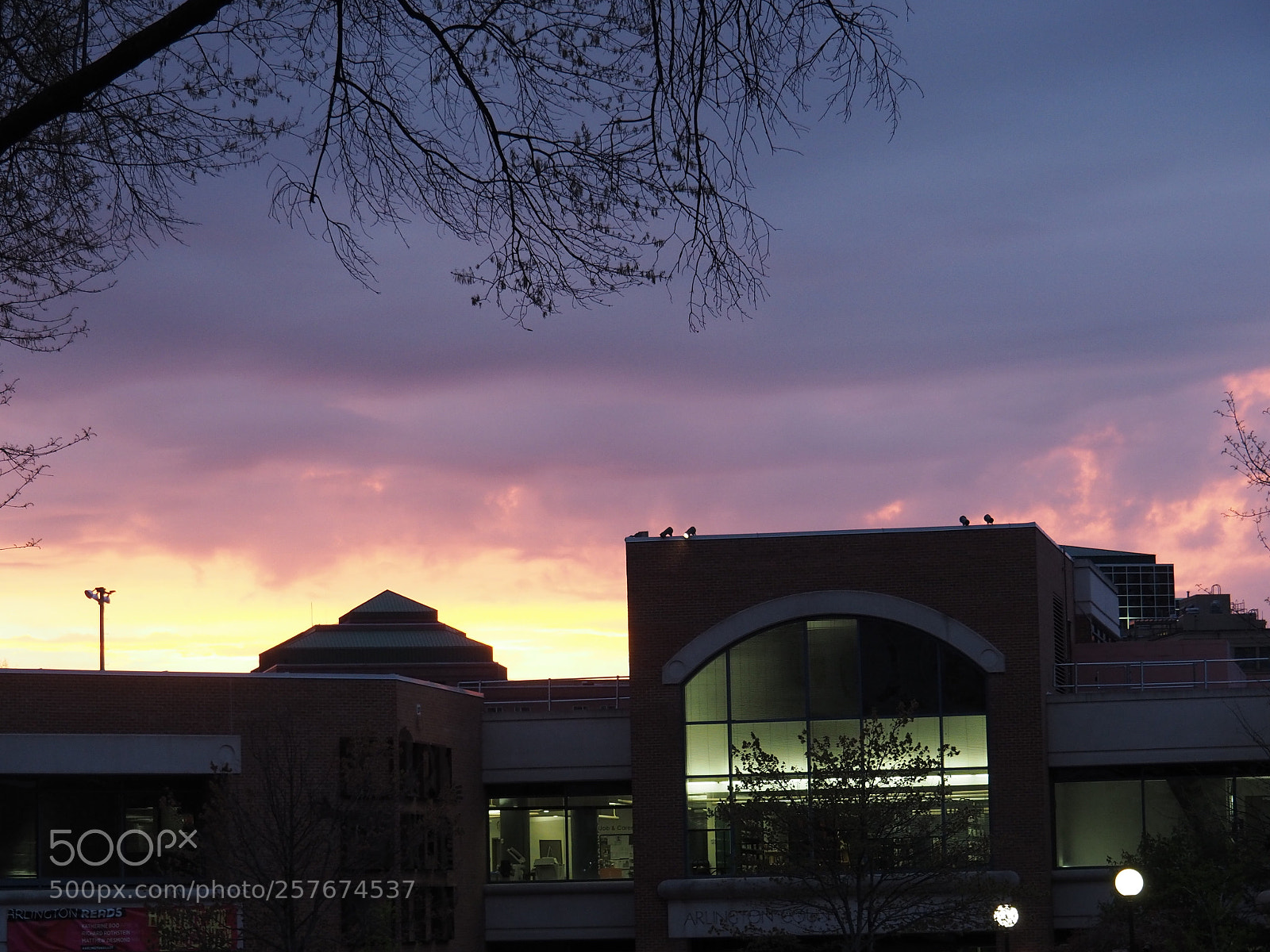 Olympus OM-D E-M5 II sample photo. Daybreak photography