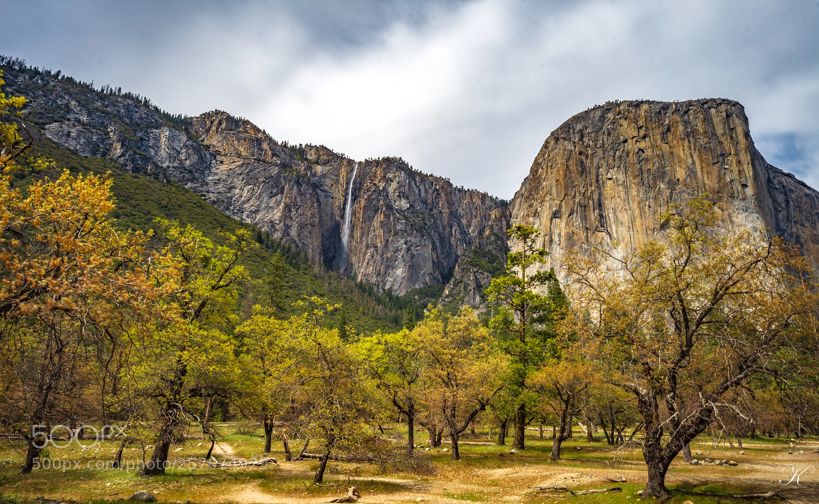 Nikon D7200 sample photo. Yosemite national park photography