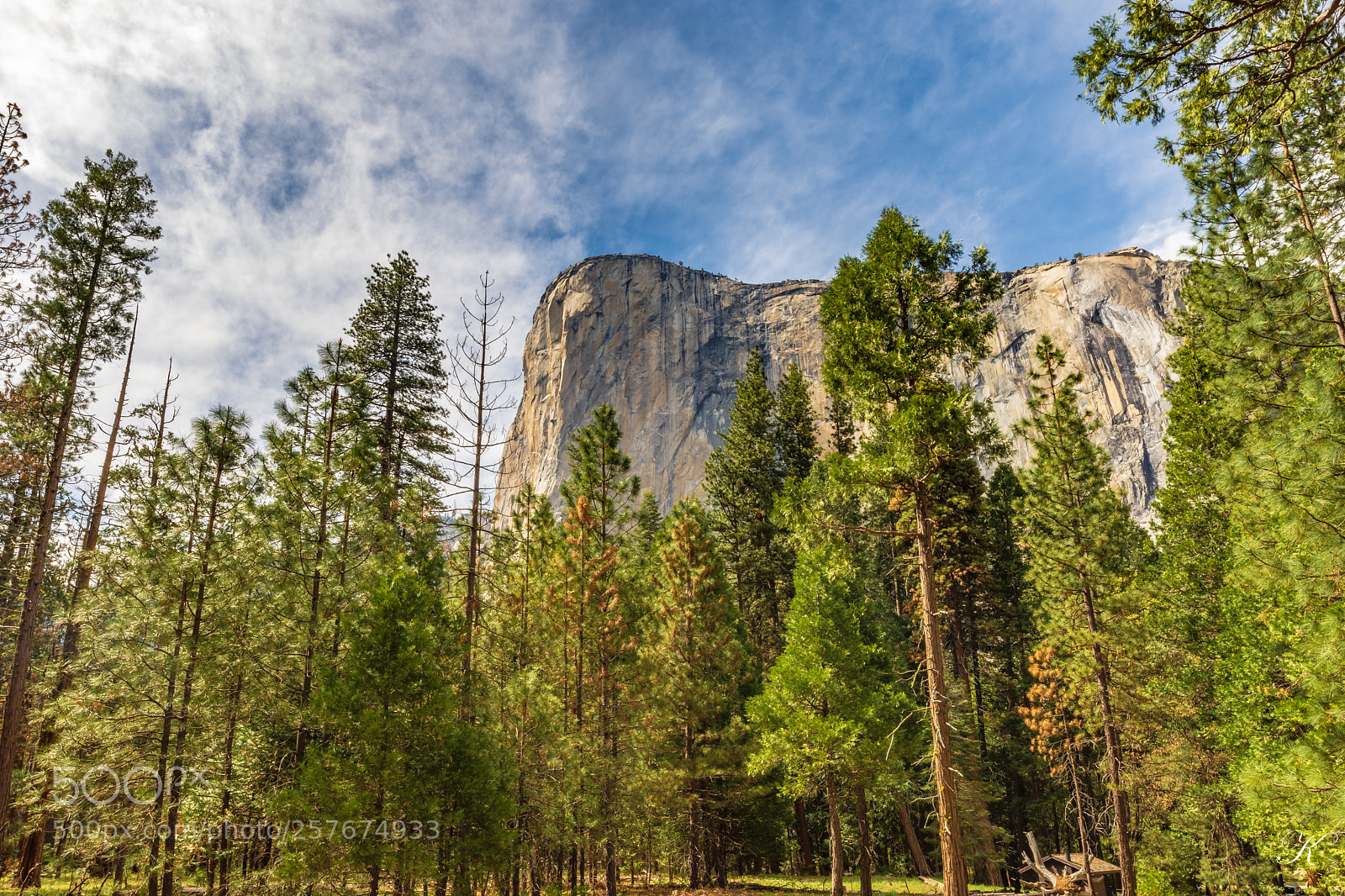 Nikon D7200 sample photo. Yosemite national park photography
