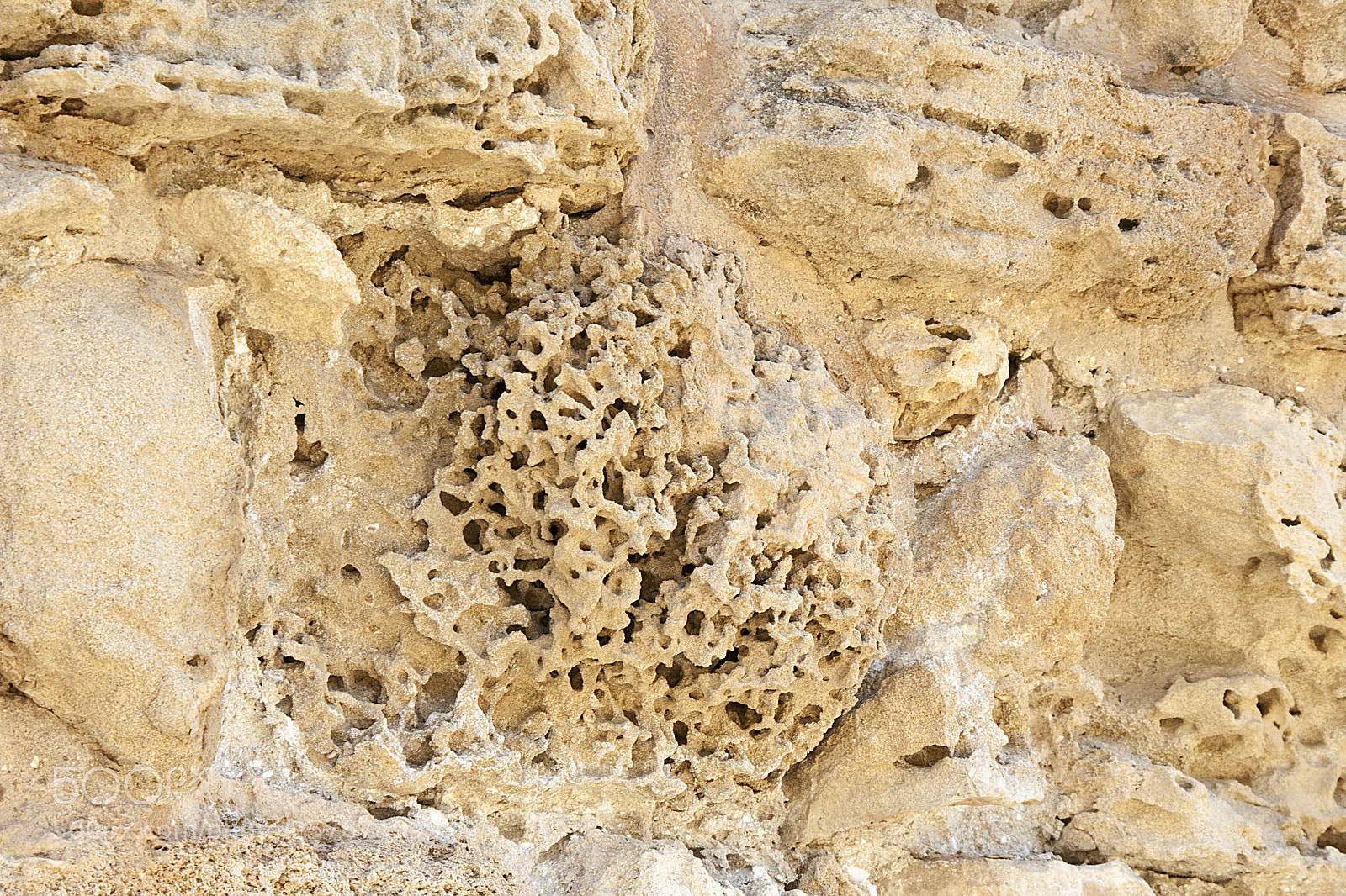 Canon EOS 350D (EOS Digital Rebel XT / EOS Kiss Digital N) sample photo. Sandstone attacked by sea photography