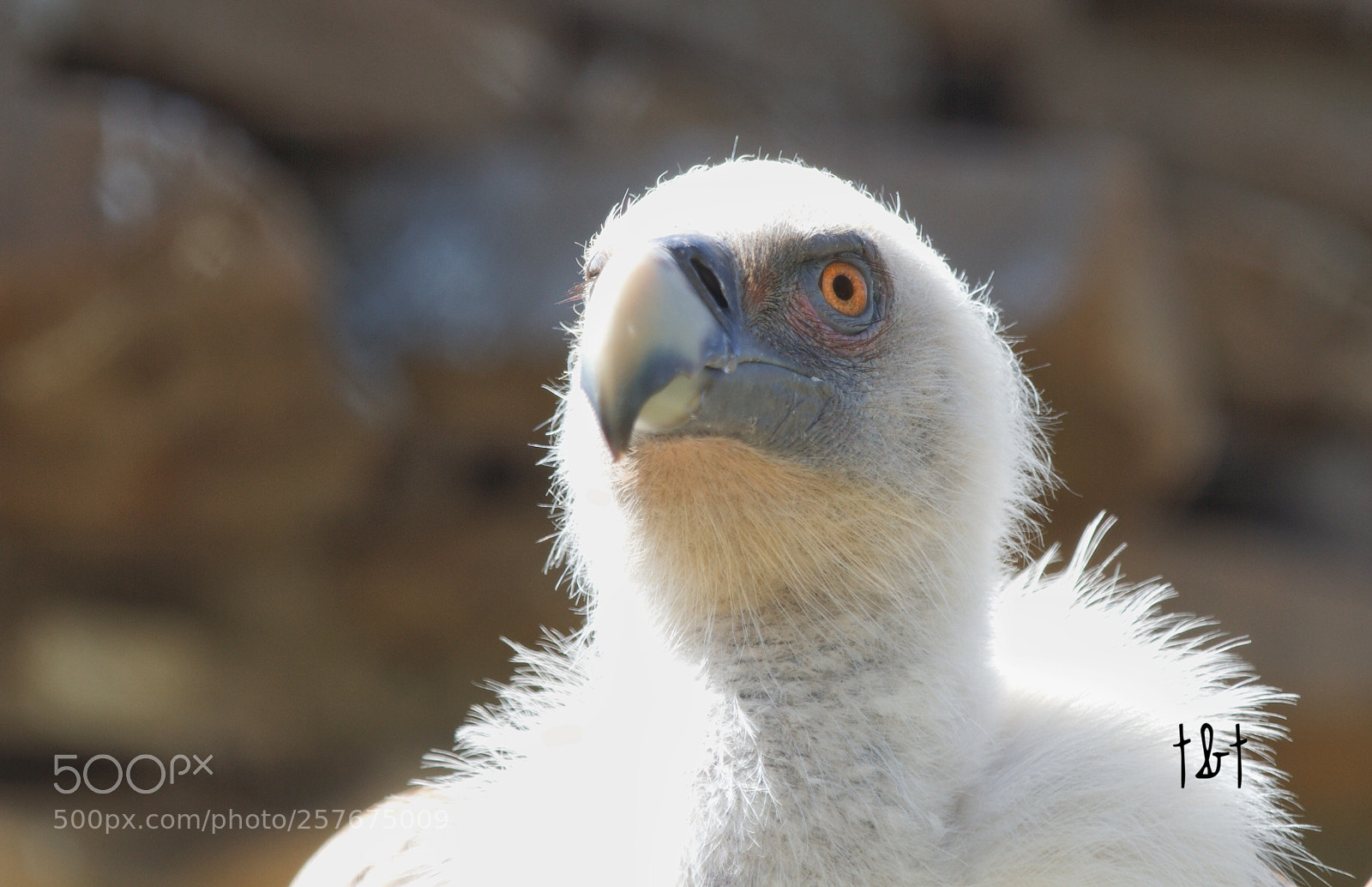 Canon EOS 7D sample photo. Untitled photography