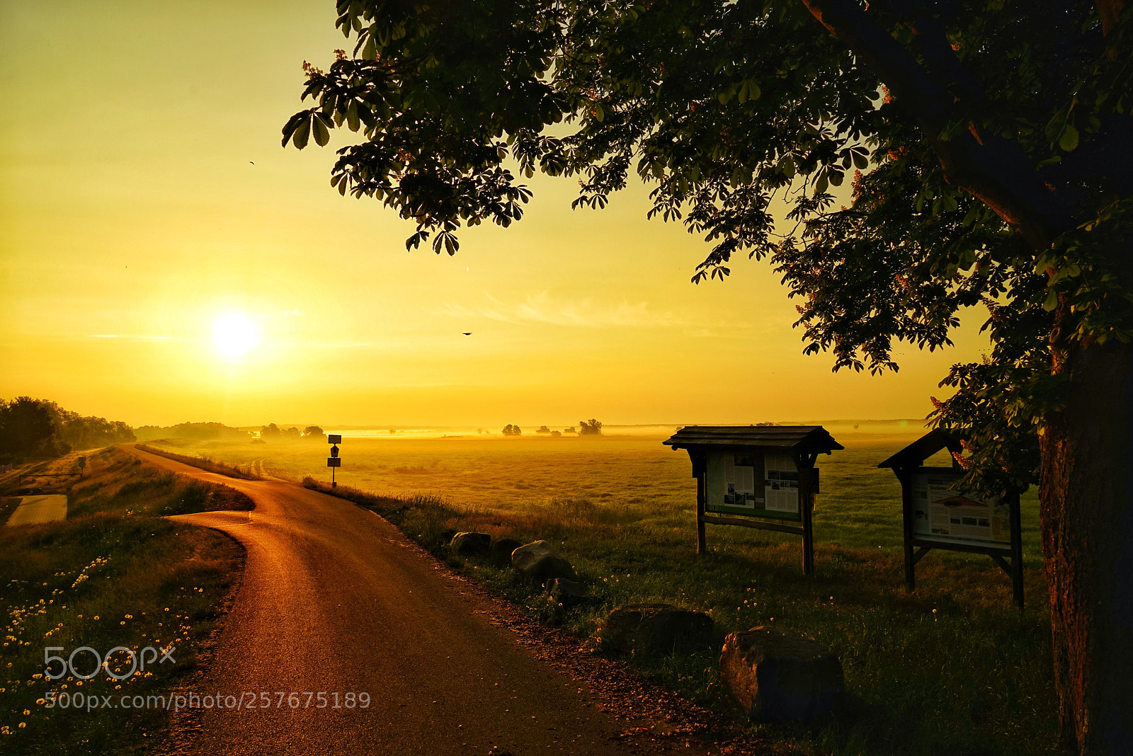 Sony a7R sample photo. Morning photography