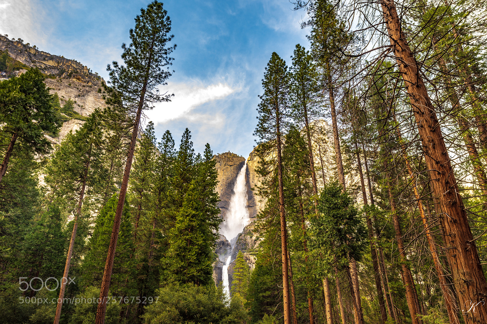 Nikon D7200 sample photo. Yosemite national park photography