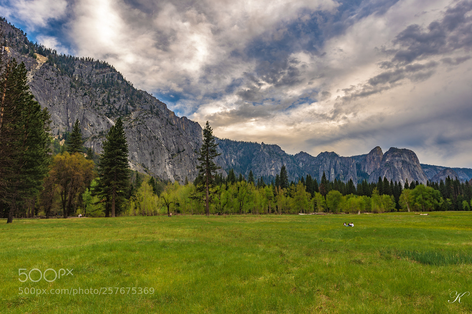 Nikon D7200 sample photo. Yosemite national park photography