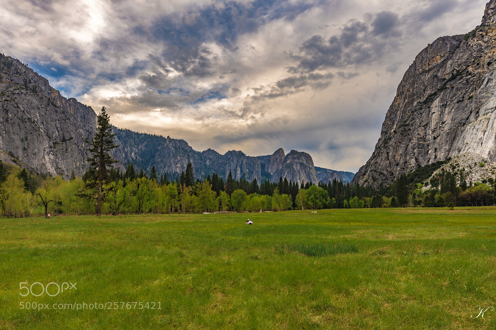 Nikon D7200 sample photo. Yosemite national park photography