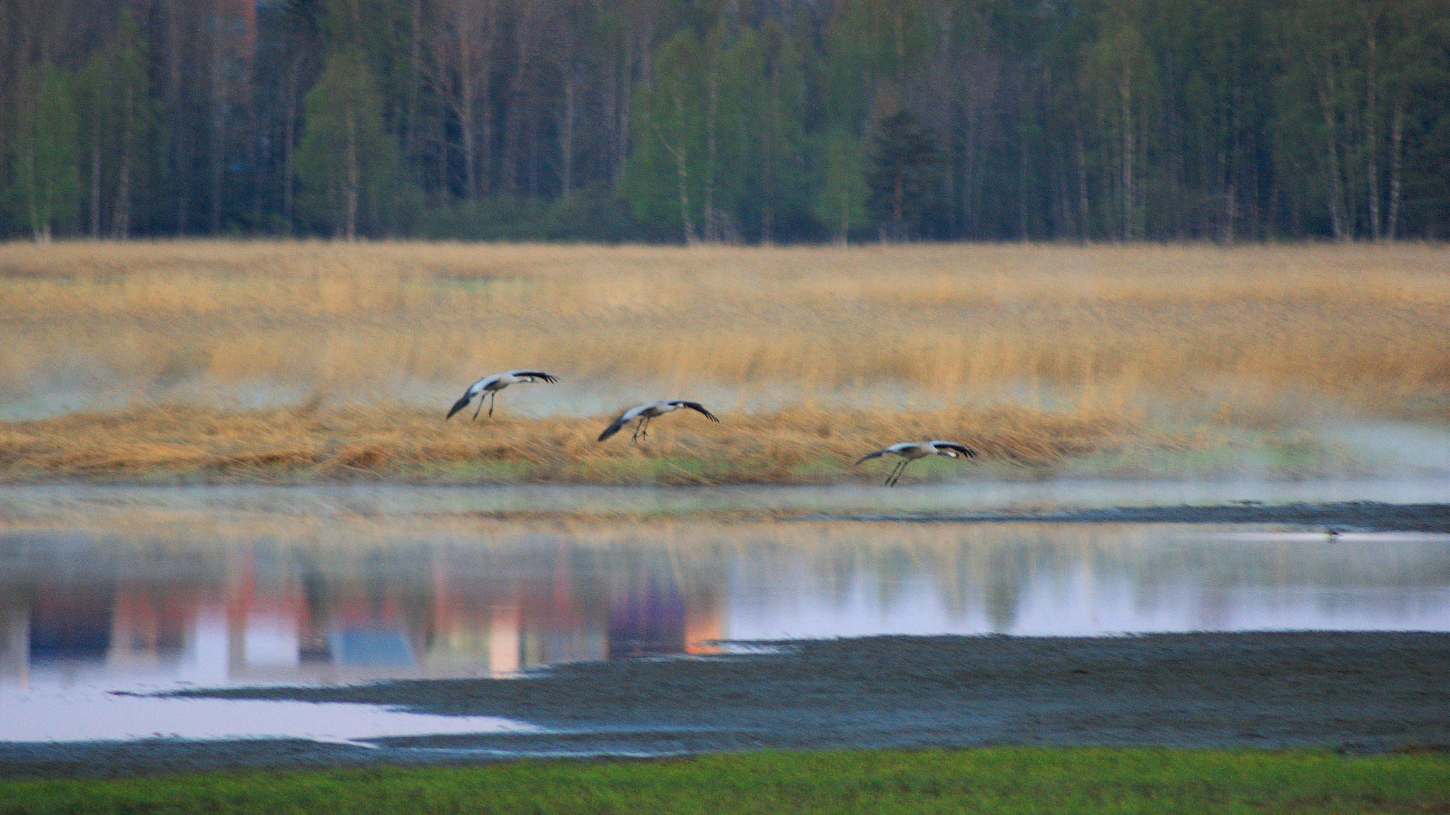 Sony Alpha DSLR-A350 sample photo. Landing gear photography